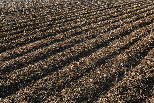 Alb-Kulturlandschaft