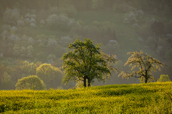Alb-Kulturlandschaft
