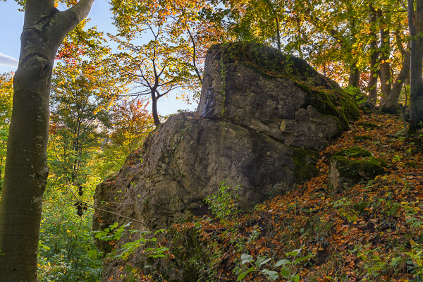 Felsen der Alb