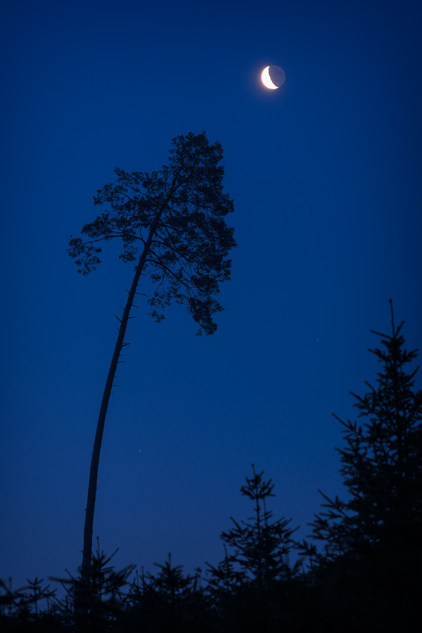 Nacht und blaue Stunde auf der Alb